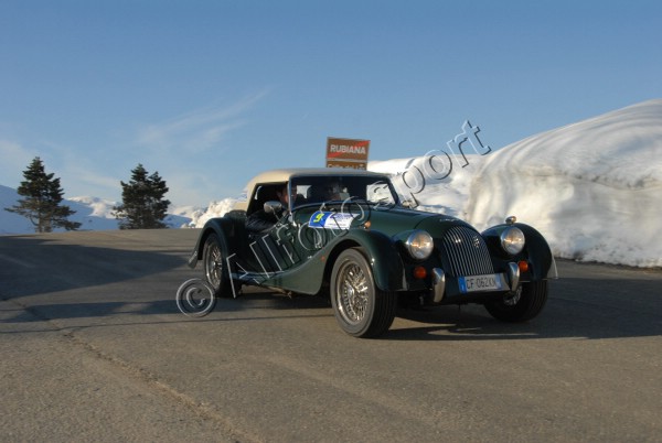 ANT_6547.jpg